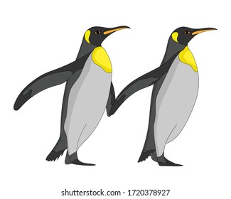 Hand drawn vector image of Penguin on white background. Isolate the image from background and use for children alphabet kearning book. Alphabet P learning picture. 