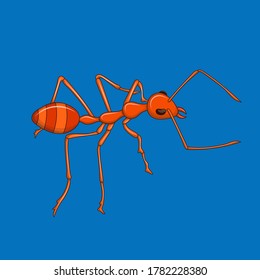 Hand drawn vector image of red Ant on blue background. Isolate the image from background and use for children alphabet kearning book. Alphabet A learning picture. Red Ant vector image.