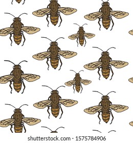 Hand drawn vector images. Pattern. Bee. On white, isolated background.