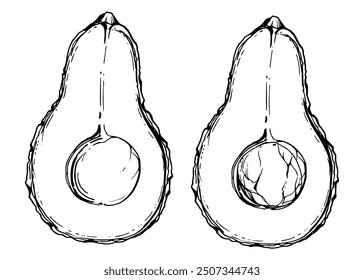 Hand drawn vector ink avocado green vegetable for diet and healthy lifestyle, vegan cooking. Illustration single object isolated on white background. Design for recipe book, website, card, menu