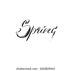 Hand drawn vector ink brush graphic handwritten Spring calligraphy lettering text isolated on white background.Spring time concept.