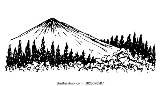 Hand drawn vector ink drawing. Wildlife of the north, mountain landscape, coniferous forest, trees. For postcard prints, tourism, travel. Nature, ecology.