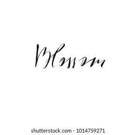 Hand drawn vector ink graphic handwritten blossom calligraphy lettering text isolated on white background.Spring time concept.
