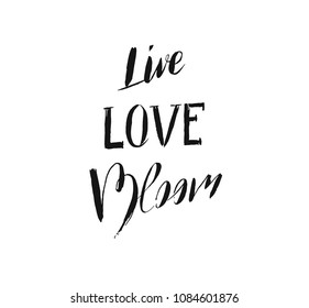 Hand drawn vector ink graphic handwritten calligraphy lettering text Live Love Bloom isolated on white background.Spring time concept.
