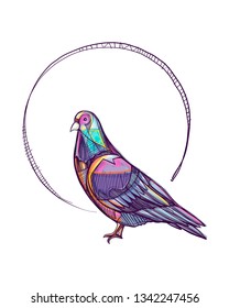 Hand drawn vector ink illustration or drawing of a colorful pigeon