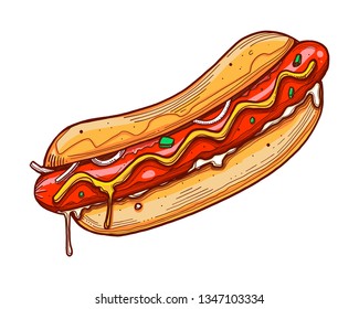 Hand drawn vector ink illustration or drawing of a hot dog