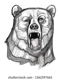 Hand drawn vector ink illustration or drawing of a bear head