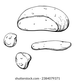Hand drawn vector ink illustration. Mozzarella burrata cheese, full head slice, dairy product. Single object isolated on white. Design for restaurant, menu, cafe, food shop or package, flyer, print.