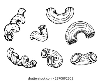 Hand drawn vector ink illustration. Pasta Italian cuisine elbows cavatappi gobetti cellentani. Set of single object elements isolated on white. For restaurant menu, food shop package, flyer, print.