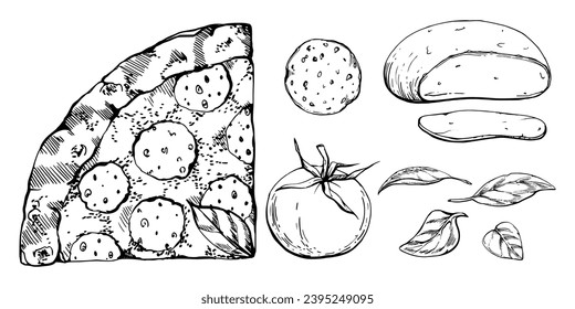 Hand drawn vector ink illustration. Pepperoni pizza slice, mozzarella tomato basil, Italian cuisine. Set of objects isolated on white. Design restaurant menu, cafe, food shop or package, flyer print.