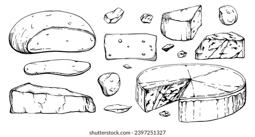 Hand drawn vector ink illustration. Assortment of cheese mozzarella parmesan edam emmental gruyere gorgonzola. Set of objects isolated on white. Restaurant menu, cafe, food shop package, flyer print.