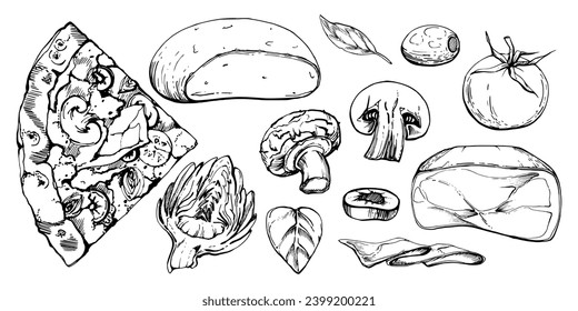 Hand drawn vector ink illustration. Capricciosa pizza slice, mozzarella tomato basil olive prosciutto champignon. Set of objects isolated on white. Restaurant menu cafe food shop package, flyer print.