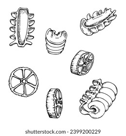 Handgezeichnete Vektorgrafik. Nudelgerichte der italienischen Küche Radiatori rotelle Gericht. Satz von Einzelobjektelementen einzeln auf Weiß. Für Restaurant, Speisekarte, Gastronomie und Pauschal, Flyer, Druck.
