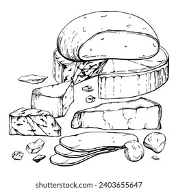 Hand drawn vector ink illustration. Assortment of cheese mozzarella parmesan edam emmental gruyere gorgonzola. Composition isolated on white. Restaurant menu, cafe, food shop package, flyer print.