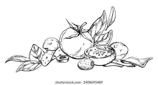 Hand drawn vector ink illustration. Tomato pepperoni olive basil herb leaves fresh products meal. Composition isolated on white. Design for restaurant, menu, cafe, food shop or package, flyer, print.