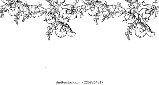 Hand drawn vector ink orchid flowers and branches, monochrome, detailed outline. Horizontal seamless banner. Isolated on white background. Design for wall art, wedding, print, tattoo, cover, card