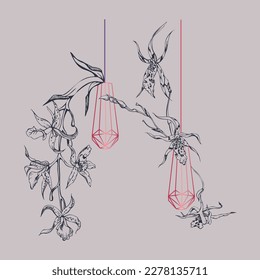 Flores y ramas de orquídeas de tinta vectorial dibujadas a mano, monocromo, contorno detallado. Composición con forma de cristal. Viva el color magenta. Diseño para arte mural, boda, impresión, tatuaje, portada, tarjeta