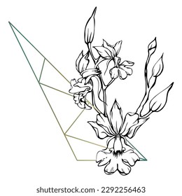 Flores y ramas de orquídeas de tinta vectorial dibujadas a mano, monocromo, contorno detallado. Composición con forma de cristal. Aislado sobre fondo blanco. Diseño para arte mural, boda, impresión, tatuaje, portada, tarjeta