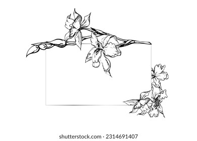 Handgezeichnete Vektorfarbe orchid Blumen und Äste, einfarbig, detaillierte Umrisse. Horizontale Rahmenzusammensetzung. Einzeln auf weißem Hintergrund. Design für Wandkunst, Hochzeit, Druck, Tätowierung, Cover, Karte