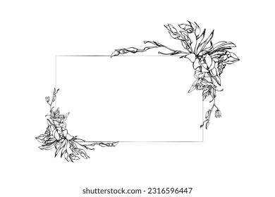 Hand drawn vector ink orchid flowers and branches, monochrome, detailed outline. Horizontal frame composition. Isolated on white background. Design for wall art, wedding, print, tattoo, cover, card