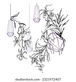 Hand drawn vector ink orchid flowers and branches, monochrome, detailed outline. Composition with crystal form. Isolated on white background. Design for wall art, wedding, print, tattoo, cover, card