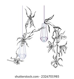 Hand drawn vector ink orchid flowers and branches, monochrome, detailed outline. Composition with crystal form. Isolated on white background. Design for wall art, wedding, print, tattoo, cover, card