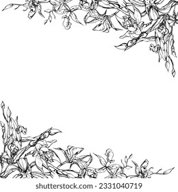 Handgezeichnete Vektorfarbe orchid Blumen und Äste, einfarbig, detaillierte Umrisse. Viereckige Rahmenzusammensetzung. Einzeln auf weißem Hintergrund. Design für Wandkunst, Hochzeit, Druck, Tätowierung, Cover, Karte