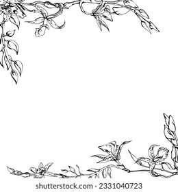 Hand drawn vector ink orchid flowers and branches, monochrome, detailed outline. Square frame composition. Isolated on white background. Design for wall art, wedding, print, tattoo, cover, card