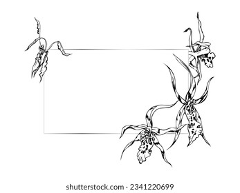 Hand drawn vector ink orchid flowers and branches, monochrome, detailed outline. Horizontal frame composition. Isolated on white background. Design for wall art, wedding, print, tattoo, cover, card