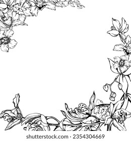 Flores y ramas de orquídeas de tinta vectorial dibujadas a mano, monocromo, contorno detallado. Composición de cuadro cuadrado. Aislado sobre fondo blanco. Diseño para arte mural, boda, impresión, tatuaje, portada, tarjeta