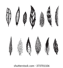 Hand drawn vector ink set of feathers on white background.