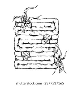 Talla de cuidado de la piel de spa con tinta vectorial dibujada a mano, paquete de productos de belleza. Composición horizontal. Aislado sobre fondo blanco. Diseño de arte mural, balneario, estampado, tela, cubierta, tarjeta, folleto.