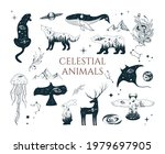 Hand drawn vector isolated collection of celestial animals. Mystical elements with stars, moon, galaxy, hare, deer, wolf, bear, owl, whale, stingray, jellyfish, panther, eagle.