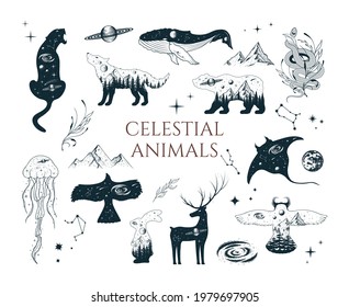 Hand drawn vector isolated collection of celestial animals. Mystical elements with stars, moon, galaxy, hare, deer, wolf, bear, owl, whale, stingray, jellyfish, panther, eagle.