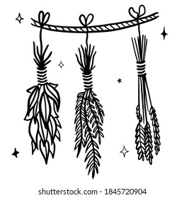 Hand drawn vector isolated dry herbs sheafs. Black outline illustration of drying herbs. Witchcraft aesthetic tools.