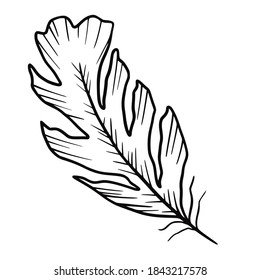 Hand drawn vector isolated feather icon. Black outline illustration of feather. Witchcraft aesthetic tools. Bohemian style. Boho.
