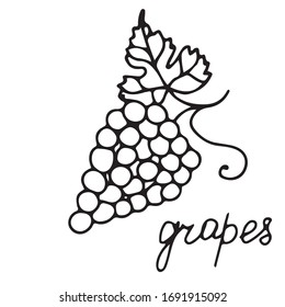 Hand drawn vector isolated food icon. Black outline illustration of  fruit. Grape icon. 