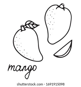 Hand drawn vector isolated food icon. Black outline illustration of  tropical fruit. Mango icon. 