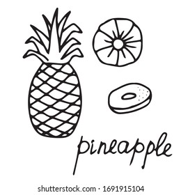 Hand drawn vector isolated food icon. Black outline illustration of tropical fruit. Pineapple icon. 