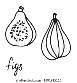 Hand drawn vector isolated food icon. Black outline illustration of fruit. Figs icon. 