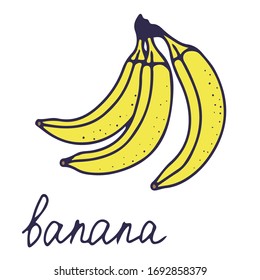 Hand drawn vector isolated food icon. Color fill illustration of tropical fruit. Banana icon. 