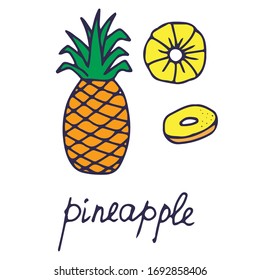 Hand drawn vector isolated food icon. Color fill illustration of tropical fruit. Pineapple icon. 