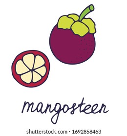 Hand drawn vector isolated food icon. Color fill illustration of tropical fruit. Mangosteen icon. 