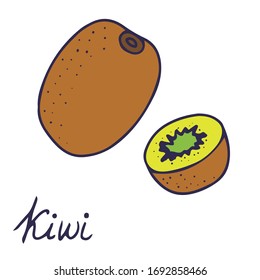 Icono de comida aislada vector dibujado a mano. Ilustración de relleno de color de frutas tropicales. Icono de Kiwi. 