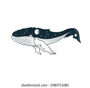 Hand drawn vector isolated illustration of  celestial whale. Mystical animal with stars, constellations, moon and planets.