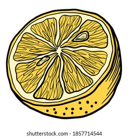 Hand drawn vector isolated lemon half. Color fill illustration of lemon half. Graphic lemon.
