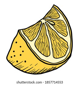 Hand drawn vector isolated lemon slice. Color fill illustration of lemon slice. Graphic lemon.