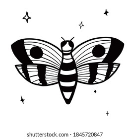 Hand drawn vector isolated  moth. Black outline illustration of magic moth. Witchcraft aesthetic tools.