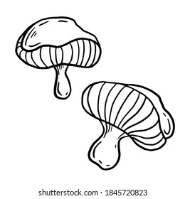 Handgezeichnete Vektorgrafik einzeln auf Pilz. Schwarze Umrissgrafik von Zauberpilzen. Hexenkunst-ästhetische Werkzeuge.