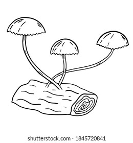 Setas aisladas por vector de tracción manual envenenadas. Ilustración negra de hongos mágicos en el muñón. Herramientas estéticas de la brujería.
